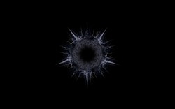 2014 12 15 Shadow Play 037-black.jpg